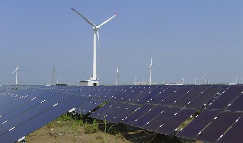 8月1日,在江苏大丰市王港南侧的黄海滩涂上,成片的光伏发电组件和耸立的风电机组交相辉映。新华社发(周古凯 摄)