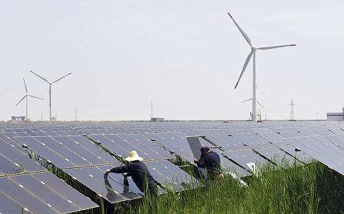 8月1日,在江苏大丰的薄膜太阳能电站,工人悉心维护非晶硅薄膜光伏组件。新华社发(周古凯 摄)