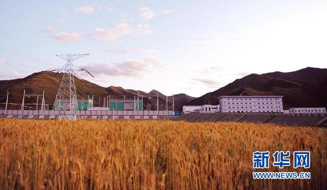 #（经济）（3）“电力天路”将于10月底全部建成投运