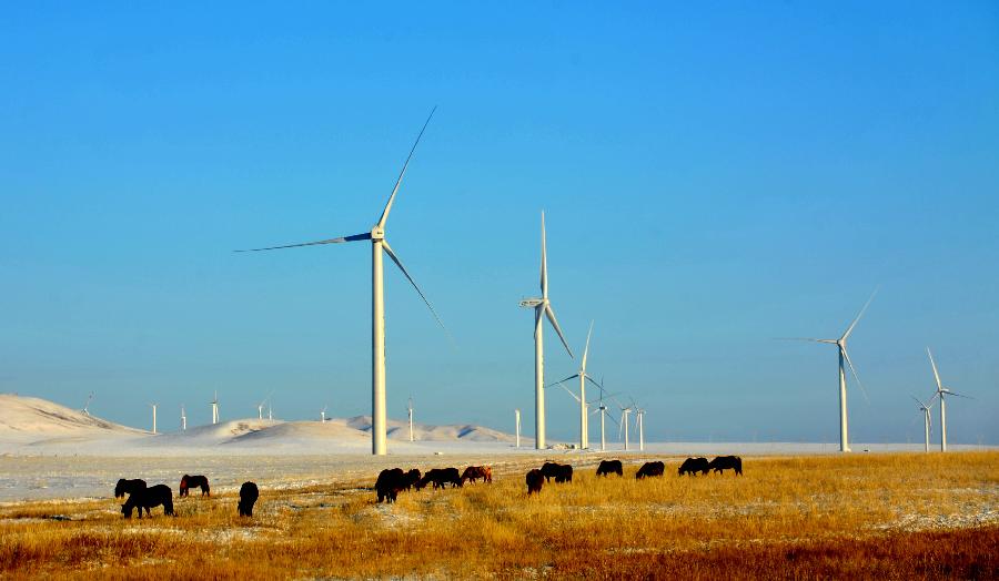 请以此说明为准：（经济）（2）内蒙古大草原成为名副其实的“风电三峡”