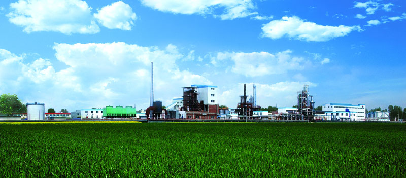 刘铁男专题调研生物质能源化工产业化---国家能