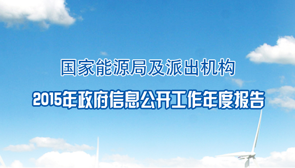 国家能源局及派出机构2015年政府信息公开工作年度报告