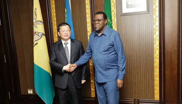 纳米比亚总统根哥布会见中国国家能源局主要负责人