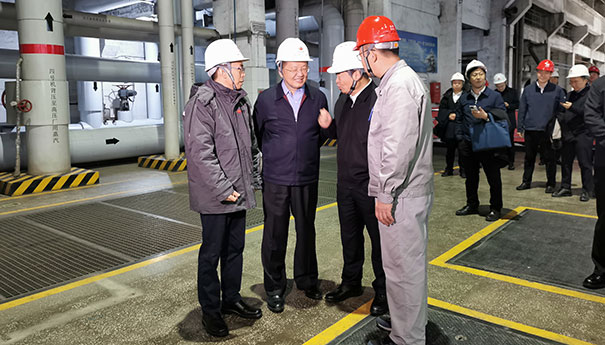 国家能源局主要负责同志带队赴辽宁省开展专题调研