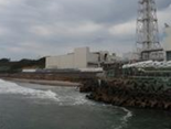 福岛核事故:放射性物质已向海中沉淀