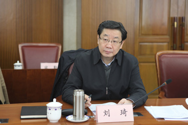 刘琦副局长主持召开2013年一季度能源形势会商会