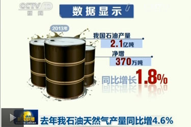 2013年我国石油天然气产量同比增4.6%