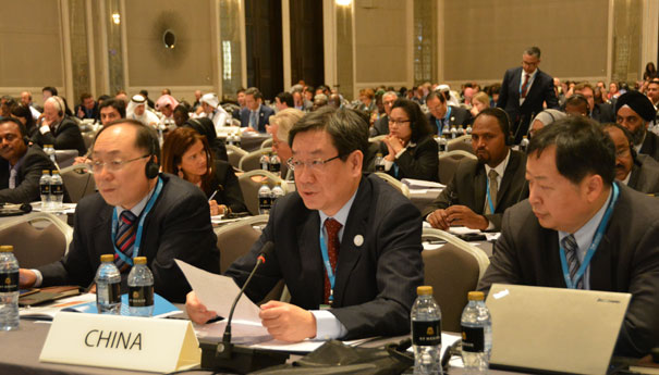 刘琦出席第六届国际可再生能源署全体大会