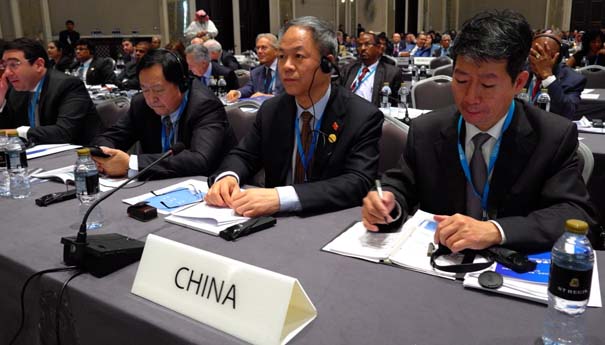 李仰哲出席国际可再生能源署第七次全体大会
