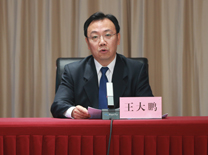 国家能源局新能源和可再生能源司副司长 王大鹏