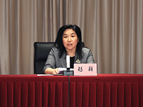 国家能源局发展规划司副司长 赵莉